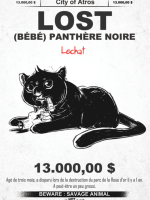 C'est quoi ce chat énorme ?